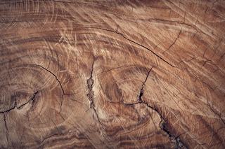 Réussir une isolation phonique écologique avec liège et bois