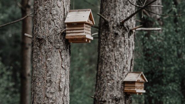 Plan maison créole traditionnelle : habitat sain et écologie