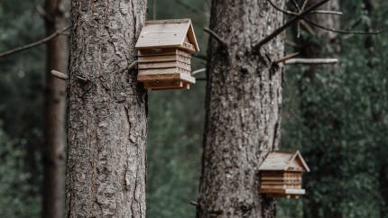 Plan maison creole traditionnelle : maison saine bâtir