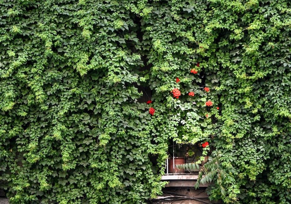 Pergola câbles tendus : guide de pose et plantes grimpantes