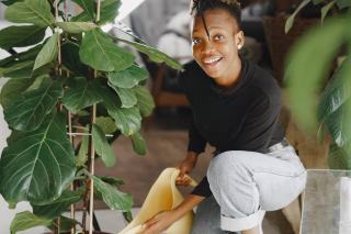 Qualité de l'air intérieur : sources de pollution et solutions naturelles